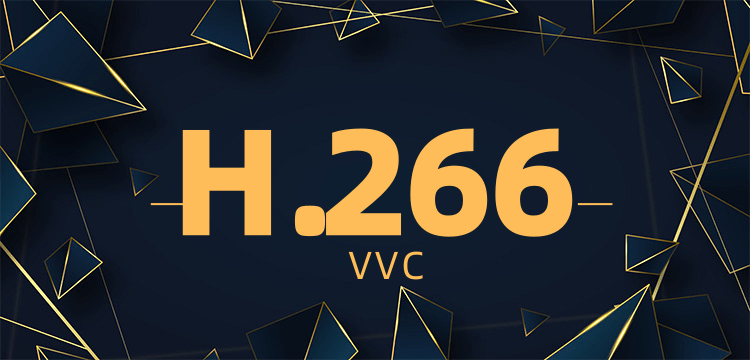 H.266视频编解码器.png
